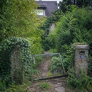 Verwilderter Garten mit zugewachsenem Gartentor